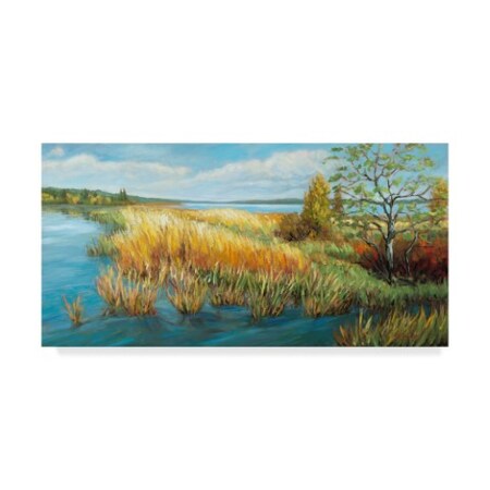 A. A. Pfannmuller 'Marsh Edge' Canvas Art,16x32